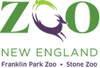 company-logo-header